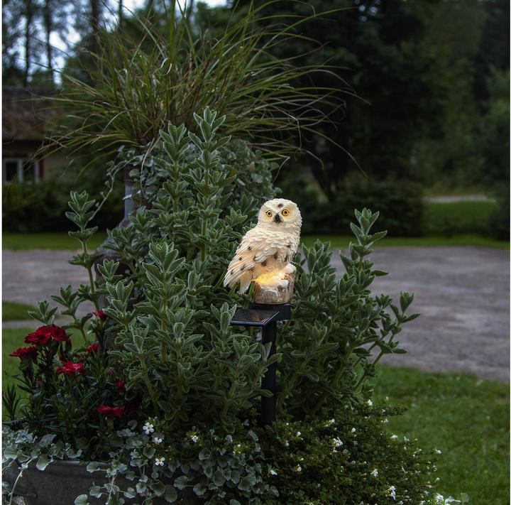 Actual product image Star Trading Owl (IP44)