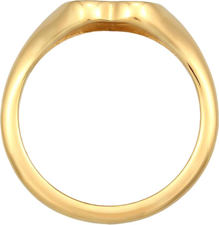 Actual product image Elli Heart, signet ring (52, 925 Silver)