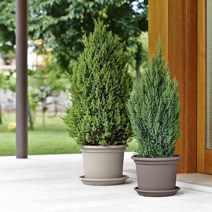 Productafbeelding Euro3plast Plantenbak (25 cm)