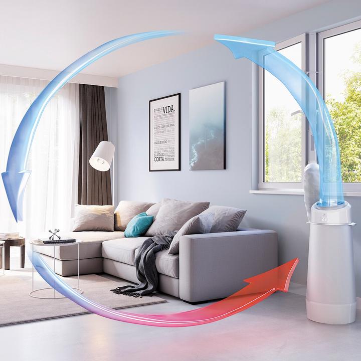 Immagine prodotto Electrolux fiore d'aria (40 m², 9000 BTU/h)
