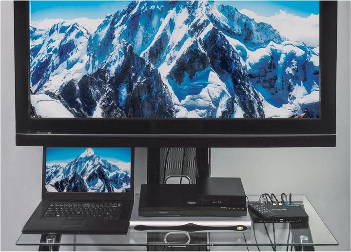 Actual product image Manhattan Multiviewer Switch