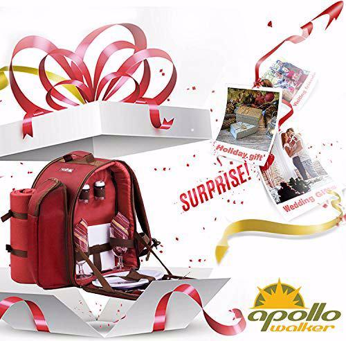 Produktbild Apollo Walker Picknickrucksack