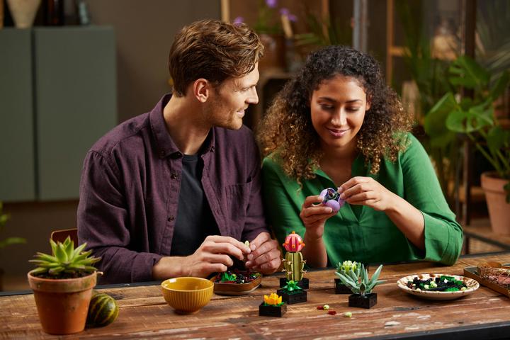 Immagine prodotto LEGO Succulente (10309, LEGO Botanical, Set LEGO rari)