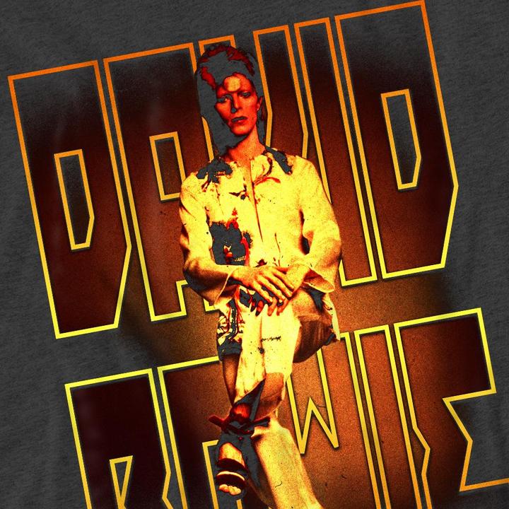 Produktbild David Bowie Perched TShirt (L)