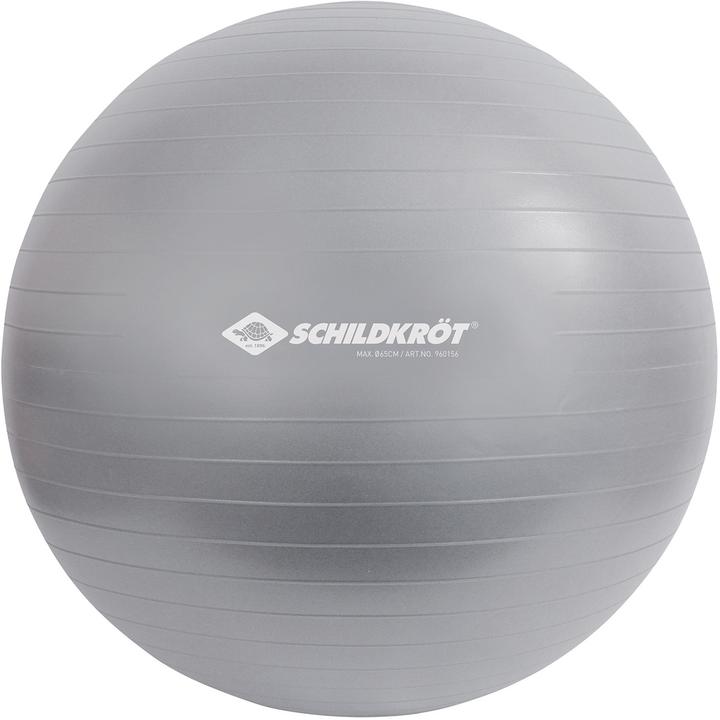 Schildkröt Gymnastikball (55 cm)