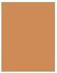 Actual product image Max Factor Miracle Pure Skin Reset 2in1 Serum Foundation - Makeup 30 ml 80-85 Medium (80-85 Medium)