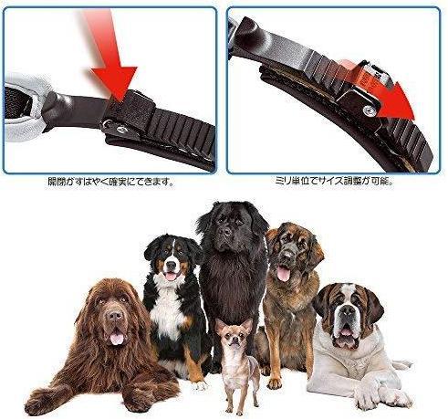 Produktbild Ferplast ERGOCOMFORT collar 15/33 GRAY (Hund, Allgemein)