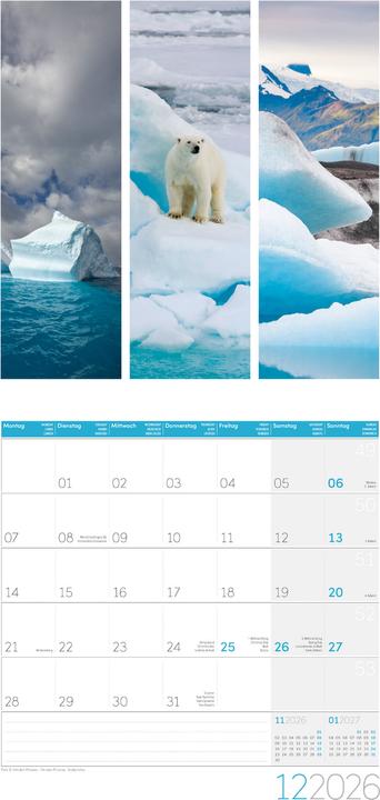 Produktbild Colours of Nature Kalender 2026 - 30x30 (30 x 30 cm, Harter Einband, Deutsch, Französisch, Englisch)