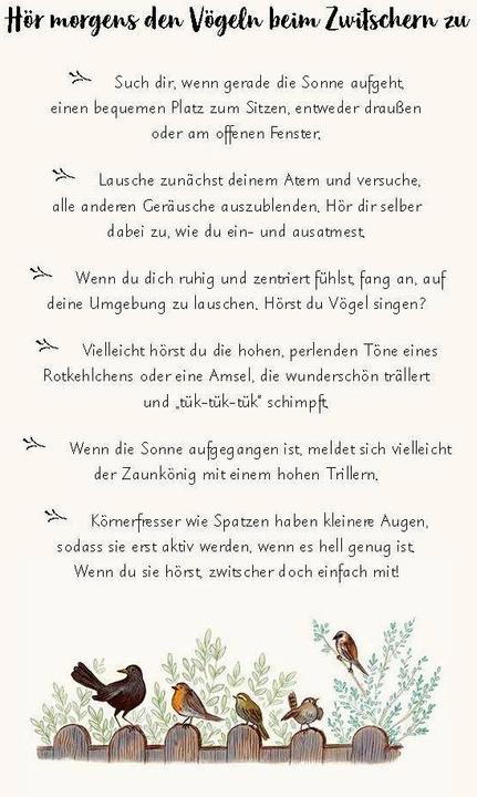 Produktbild Wunder der Natur - 30 Achtsamkeitsübungen (Deutsch, Freya Hartas, Emily Sharratt, 2021)