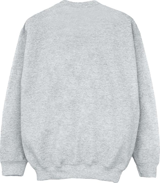 Produktbild Cars Racer Profile Sweatshirt Jungen (140, 146)