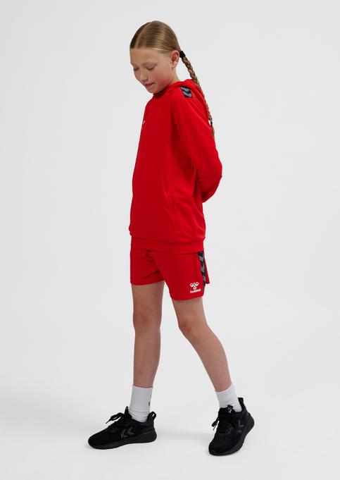 Immagine prodotto hummel Hmlauthentic Pl Hoodie Kids (116)