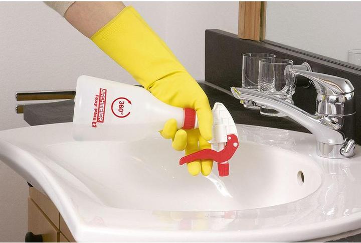 Actual product image Birchmeier Foxy Plus (0.50 l)