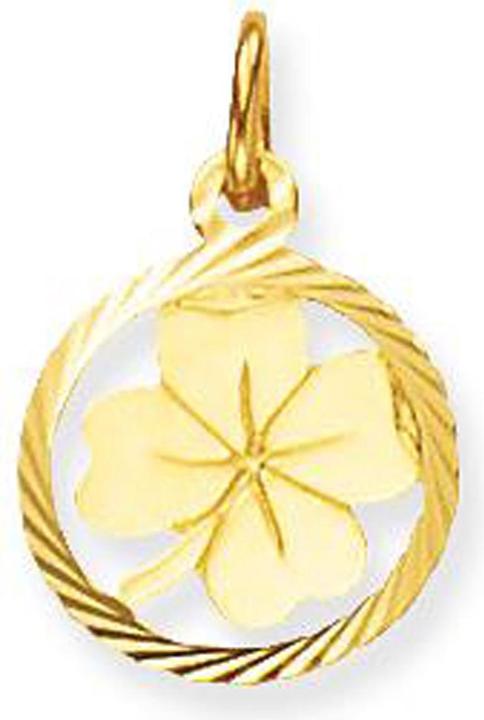 Glow Glühen 230.0041.00 Dames Hanger (14 Karat Gelbgold)