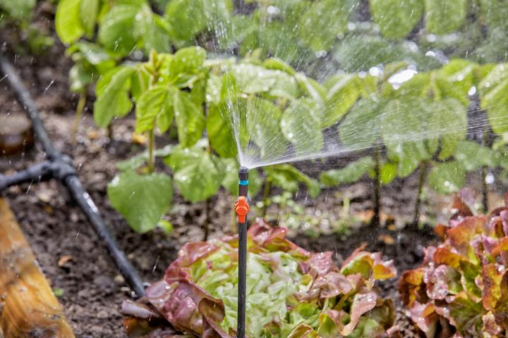 Image du produit Gardena Système de micro-goutte (Minuterie eau)