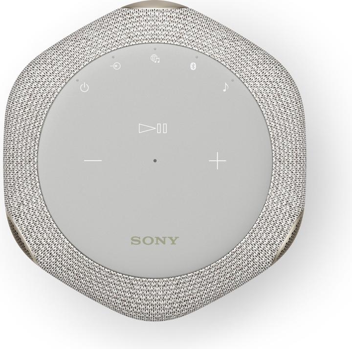 Actual product image Sony SRS-RA3000 (Electrical connection)
