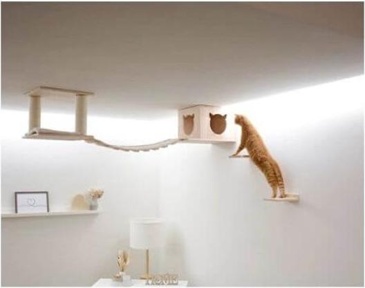 Image du produit Kerbl Aire de jeu pour chats Top, naturel/blanc
