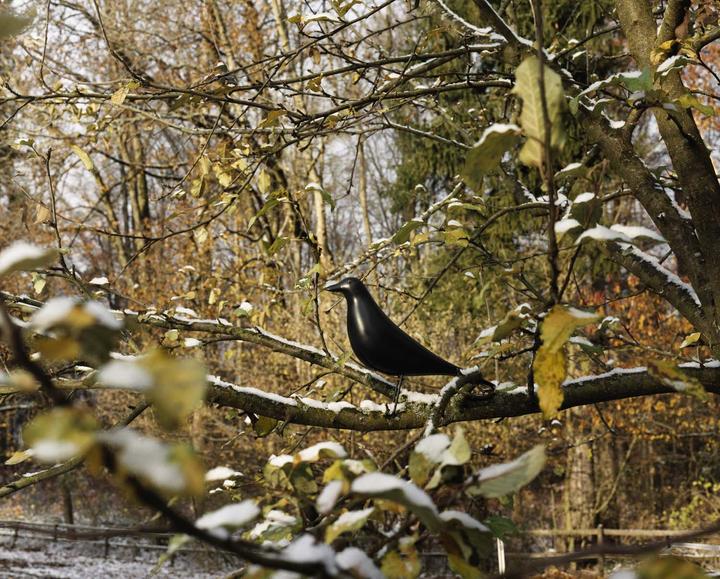 Produktbild Vitra Eames House Bird