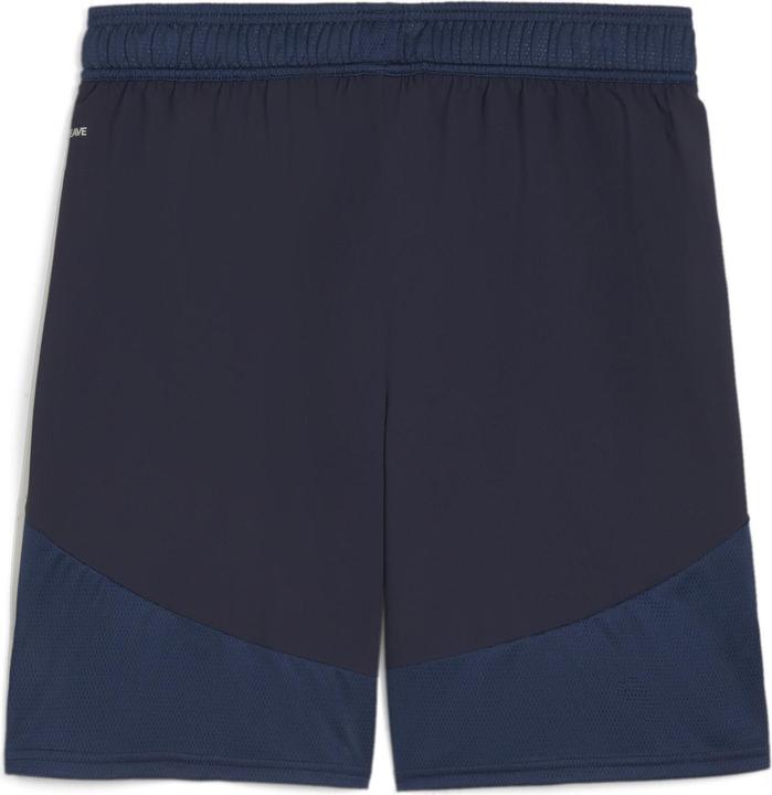 Actual product image Puma teamFINAL Shorts (L)