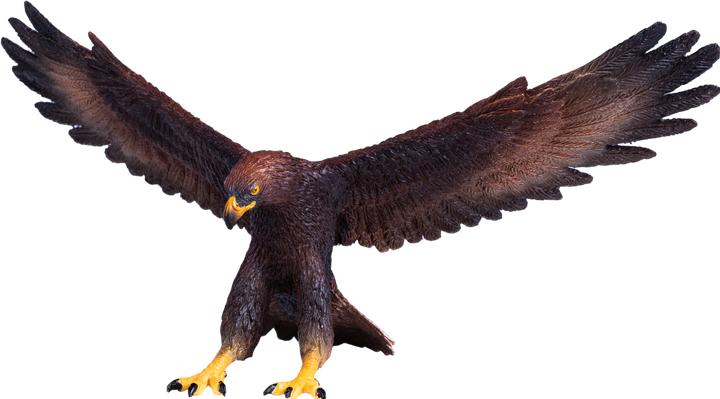 Produktbild Mojo Wildlife Steinadler