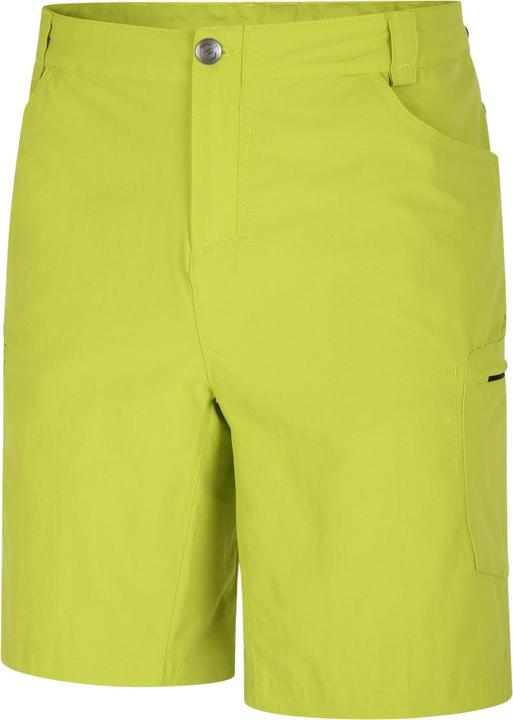 Actual product image Dare2b Mens Tuned In II Multi Pocket Walking Shorts (56)
