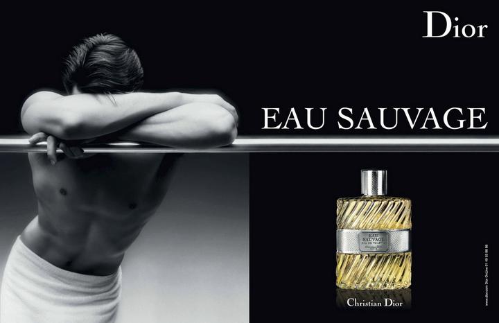 Immagine prodotto Dior Eau Sauvage (Eau de toilette, 100 ml)