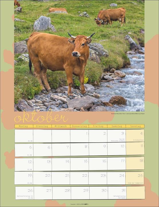 Actual product image Kuh Kalender 2026 (30 x 39 cm, German)