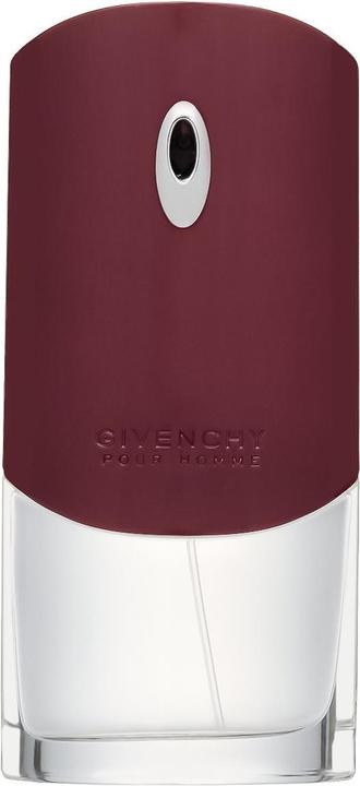 Givenchy Pour Homme (Eau de Toilette, 100 ml)