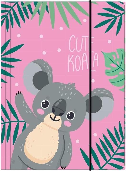 Actual product image Derform Folder with elastic band A4 Koala 10 (A4, 10 x)