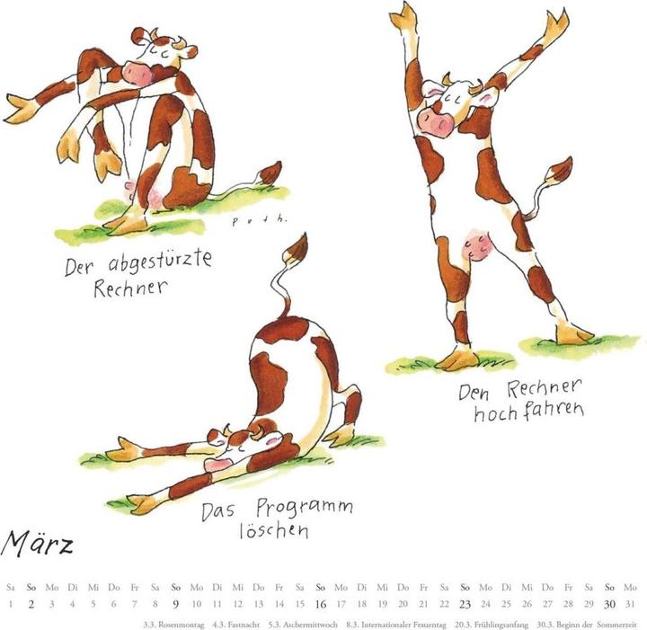 Produktbild Mit den Yoga-Kühen durchs Jahr 2025 – Wandkalender – Quadratformat 23 x 23 cm (24 x 24 cm, Harter Einband, Deutsch)