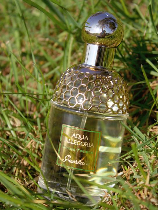Actual product image Guerlain Aqua Allegoria Herba Fresca (Eau de toilette, 125 ml)