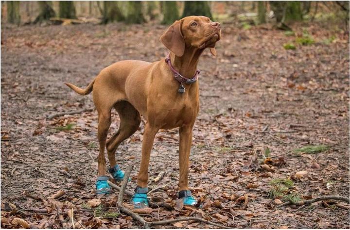 Produktbild Ruffwear Grip Trex 2 Paare Hundeschuhe (L, Hundeschuhe)