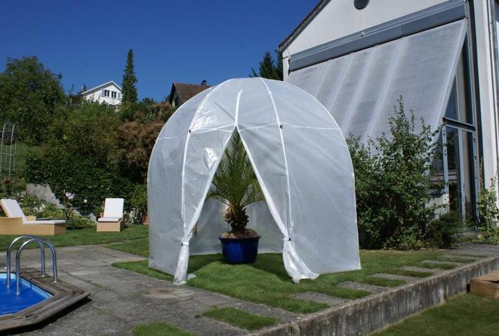 Produktbild Colibri Premium Palmenhaus