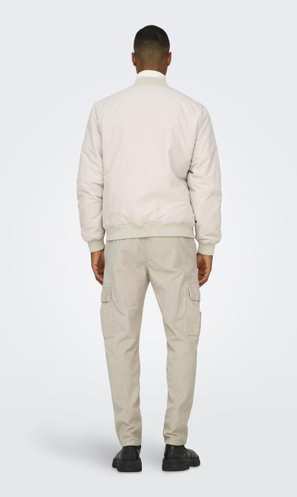 Actual product image Only & Sons ONSLOU Tapered trousers Trousers (W30/L32)