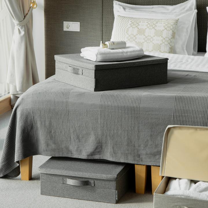 Immagine prodotto Bigso SOFT Grey - Contenitore sotto il letto (40 x 30 x 22 cm, 26.40 l)