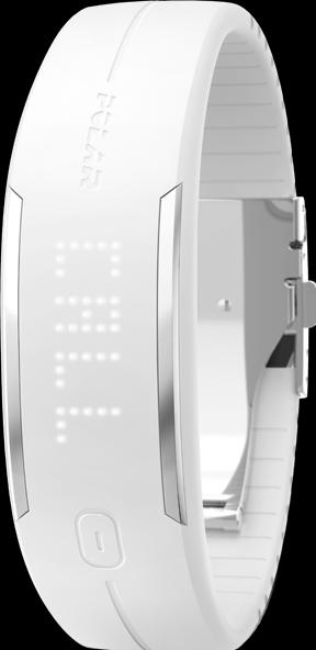 Polar Loop 2 (20 mm)