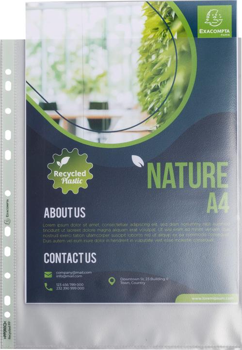 Image du produit Exacompta Beutel mit 50 Prospekthüllen, genarbt, Recycling-PP 90, für A4+, Forever (A4+, 50 x)
