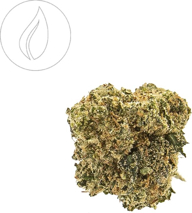 Produktbild Hempy Harlequin Indoor Small Buds 25gr (37.60 g, Indoor)