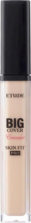 Actual product image Etude House Big Cover Skin Fit Concealer Pro N05 Neutral Beige (N05 Sand)