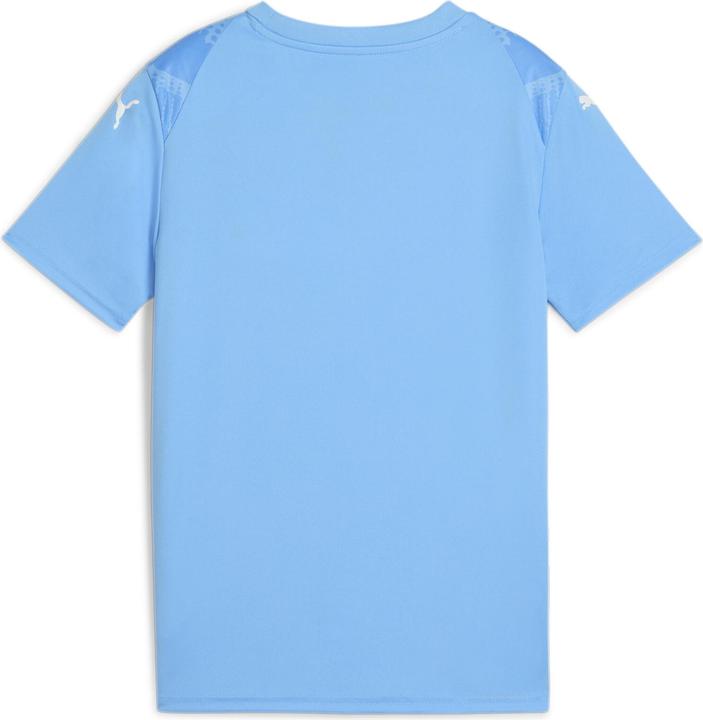 Actual product image Puma teamULTIMATE Jersey Jr (164)