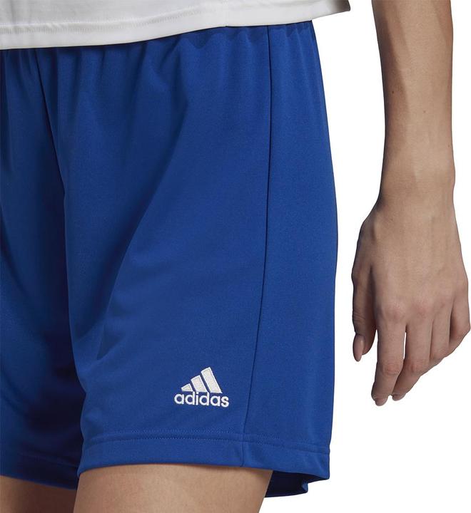 Actual product image adidas Women's pants Entrada 22 blue HH9998 (M) (M)