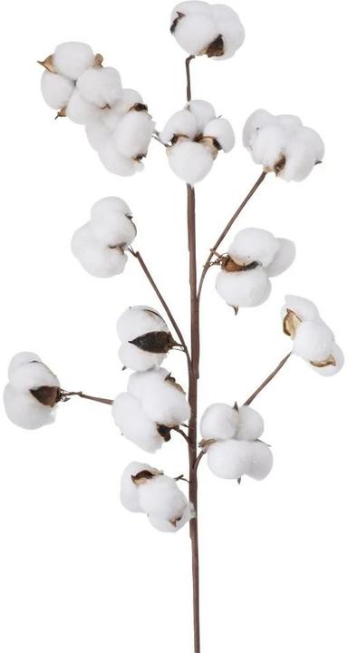 Boltze Home Cotton (68 cm)