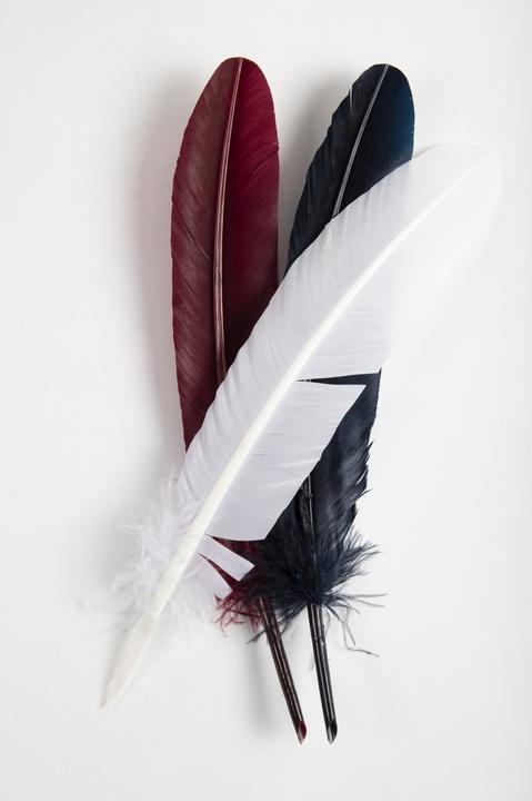 Produktbild Herbin Gänsekiel (Weiss, Blau, Rot, 1 x)