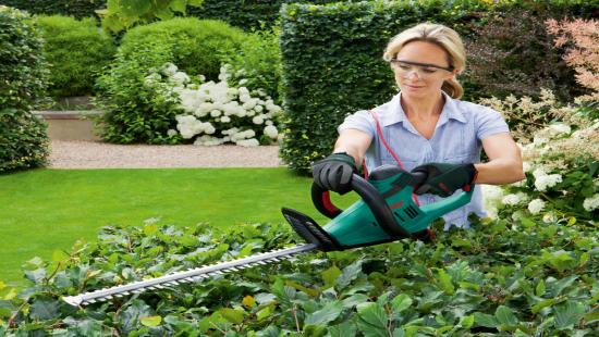 Produktbild Bosch Home & Garden AHS 60-26 Elektro