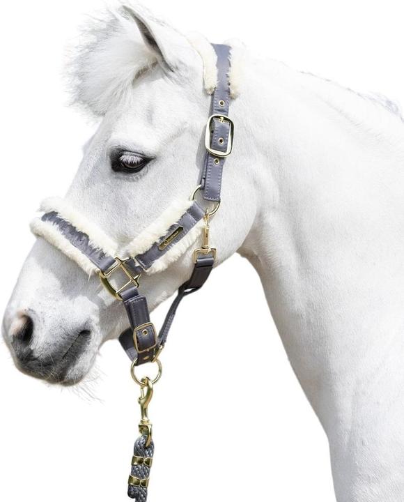 Immagine prodotto Coldstream Langlee Luxury Cavezza e Guinzaglio per Cavallo