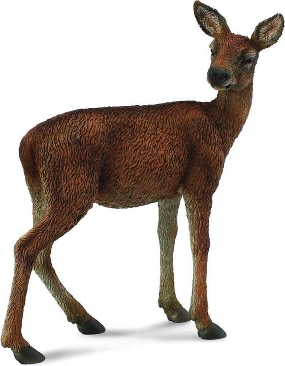 Produktbild Collecta Rotwild Hirschkuh (M)