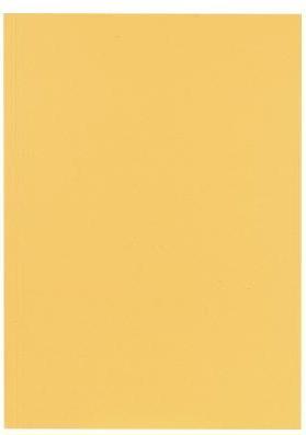Actual product image Falken 100 file covers DIN A4 chamois (A4, 100 x)