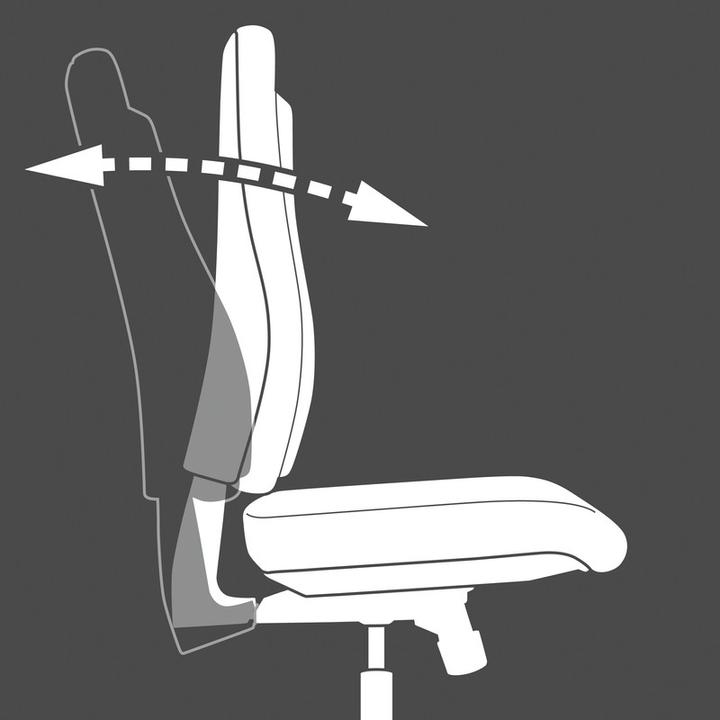 Actual product image Topstar Sitness 10