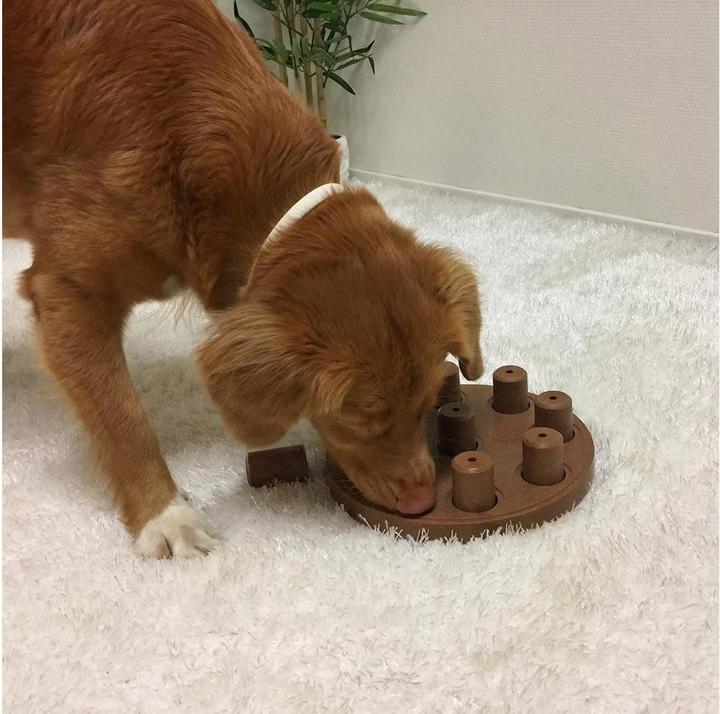 Produktbild Nina Ottosson Dog Smart CompositeLevel 1 (Intelligenzspielzeug Hund)