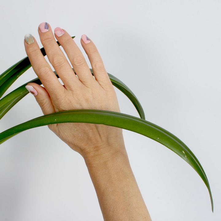 Immagine prodotto Vargu umore dei fiori (umore dei fiori)