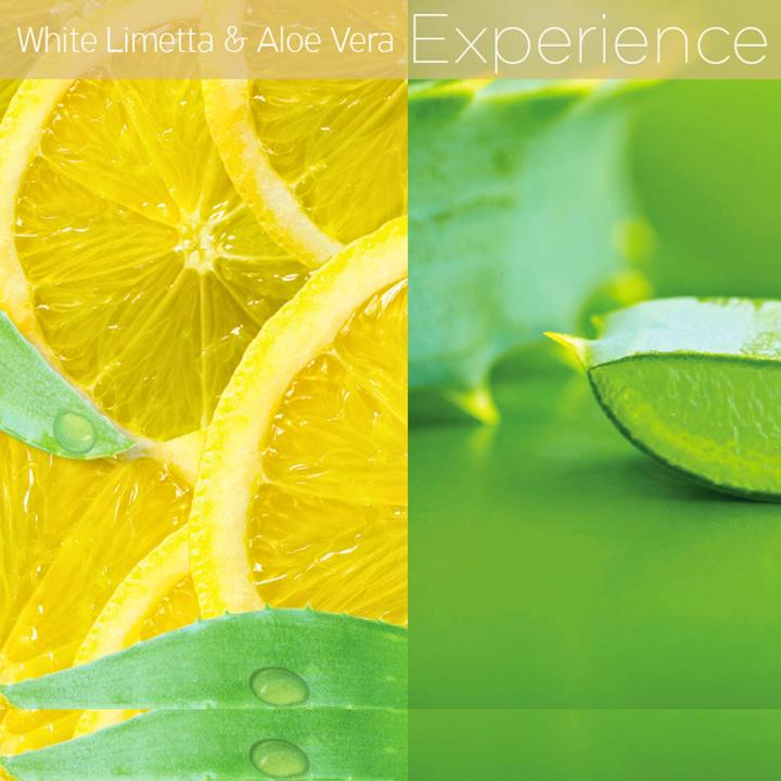 Produktbild Cuccio Lyte Butter Lotion - White Limetta & Aloe Vera (Körperlotion, 946 ml)